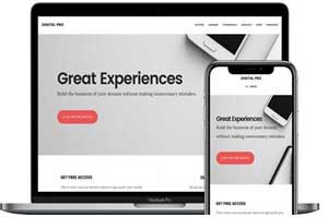 Two Free WordPress Themes